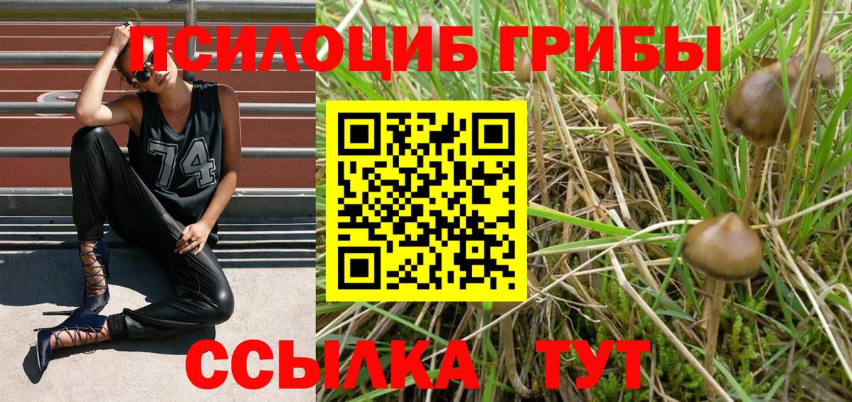 НБОМе Малоярославец