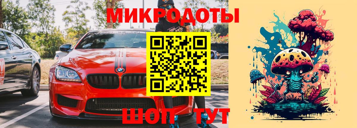 Псилоцибиновые грибы Psilocybine cubensis Малоярославец