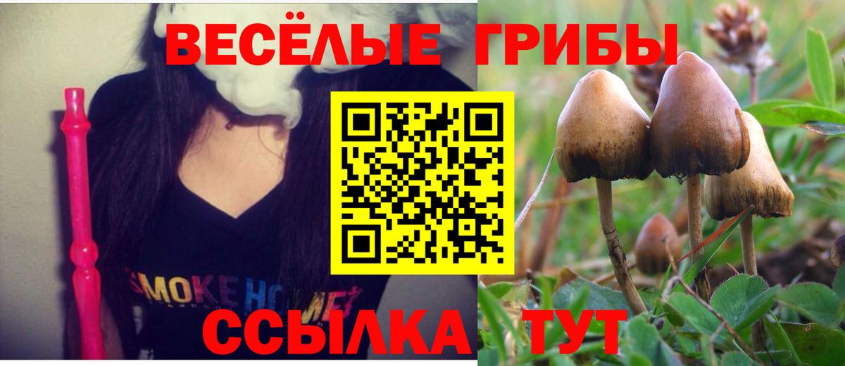 Псилоцибиновые грибы GOLDEN TEACHER  Вход с VPN  Галлюциногенные грибы Magic Shrooms  Малоярославец 